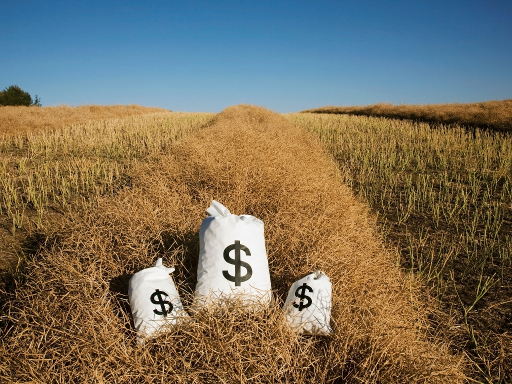 How Off-Farm Investments Mitigate Commodity Market Risks