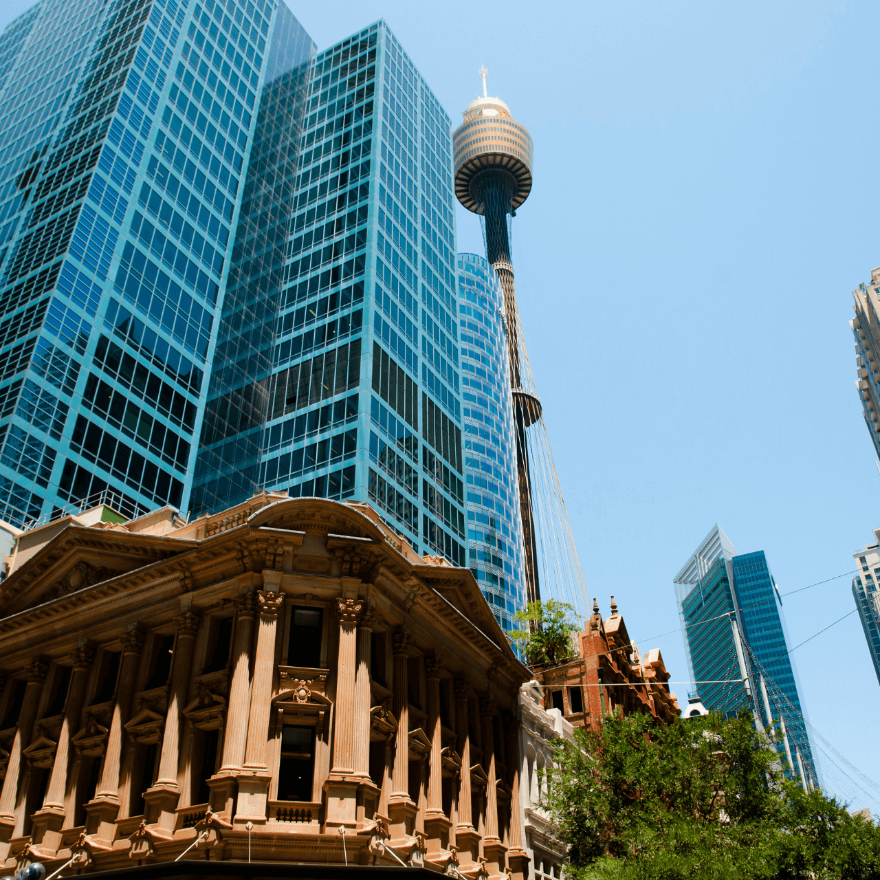 NSW Commercial Buyer's Advocacy